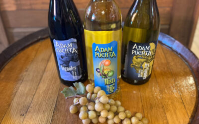 Let’s Talk About Vignoles!