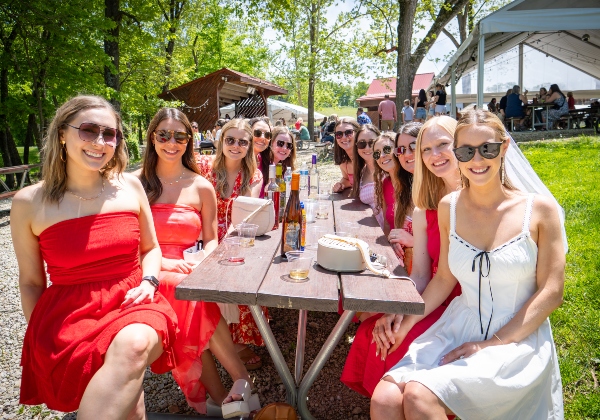 bridal party enjoying wine at a picnic table