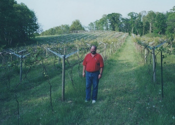 dad in vineyard after replanting