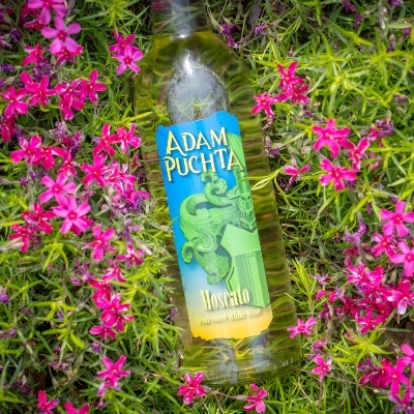 Adam Puchta Moscato surrounded by pink flowers