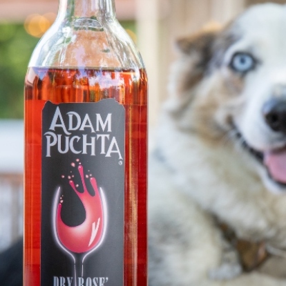 Dry Rose Wine with cute dog in background