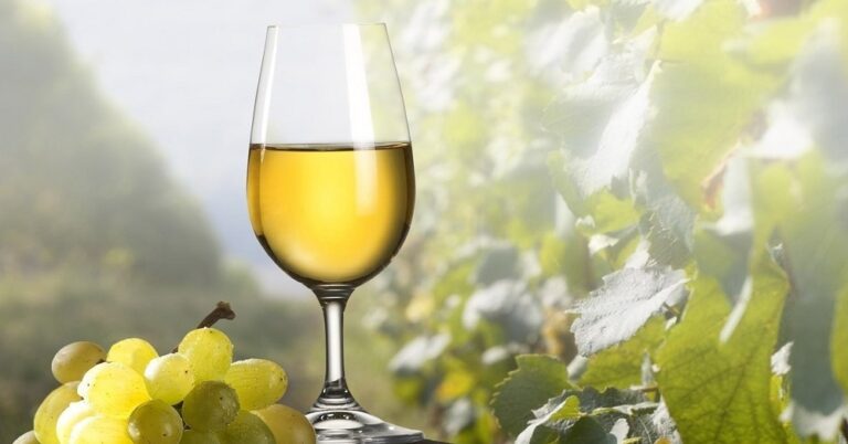 moscato day grapes and wine