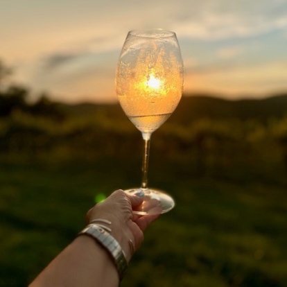 wine vineyard with a wine glass in front of the sunset